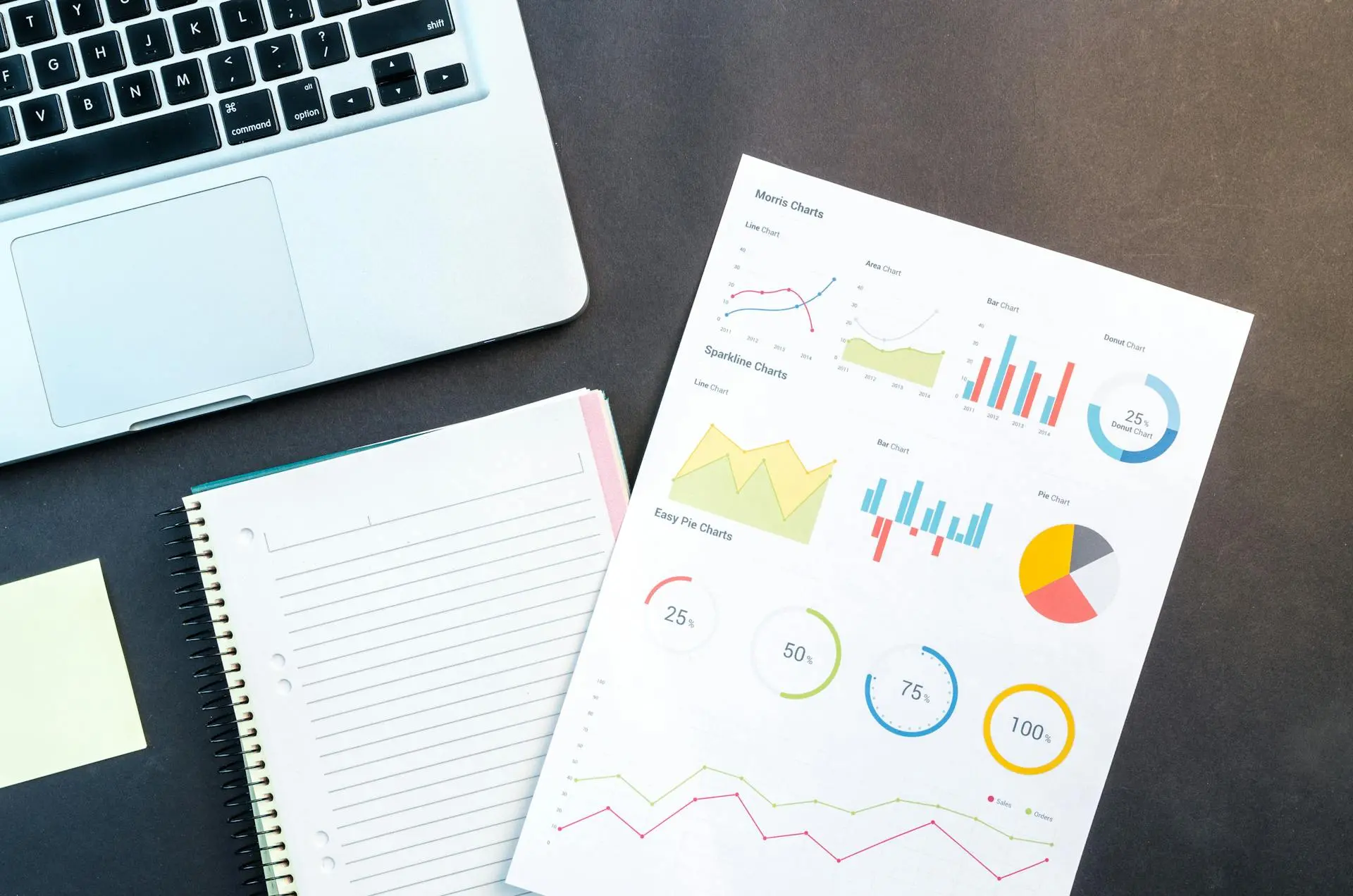 WordPress website laten maken in Emmeloord- Zoekmachine optimalisatie (SEO) WordPress website laten maken in Emmeloord - SEO statistieken en prestaties